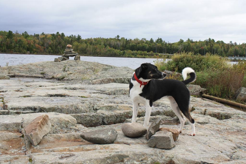 Carolyn Beach Inn Thessalon Esterno foto